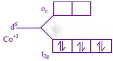 JEE Main 2024 Chemistry, Coordination Compounds — solution figure