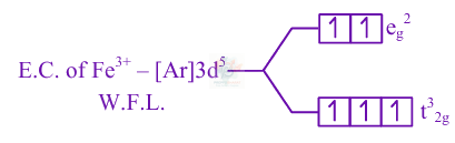 JEE Main 2025 Chemistry, Coordination Compounds — solution figure