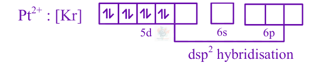 JEE Main 2025 Chemistry, Coordination Compounds — solution figure 2