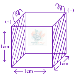 JEE Main 2024 Chemistry, Electrochemistry — question figure