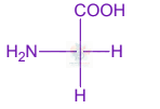 JEE Main 2007 Chemistry, General Organic Chemistry — option D figure