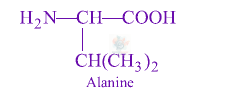 JEE Main 2013 Chemistry, General Organic Chemistry — solution figure