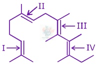 JEE Main 2017 Chemistry, General Organic Chemistry — question figure