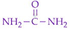 JEE Main 2020 Chemistry, General Organic Chemistry — option D figure