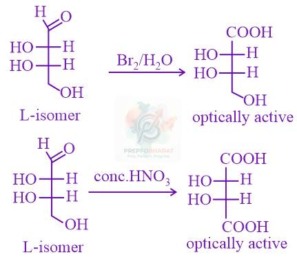 JEE Main 2022 Chemistry, General Organic Chemistry — solution figure