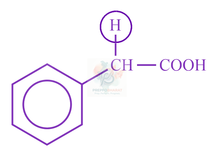 JEE Main 2022 Chemistry, General Organic Chemistry — option D figure