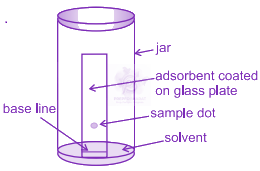 JEE Main 2022 Chemistry, General Organic Chemistry — solution figure