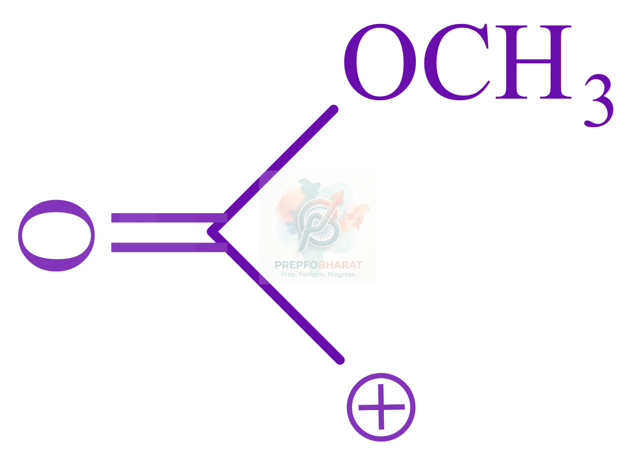 JEE Main 2022 Chemistry, General Organic Chemistry — option A figure