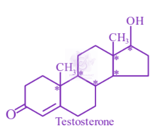 JEE Main 2023 Chemistry, General Organic Chemistry — solution figure