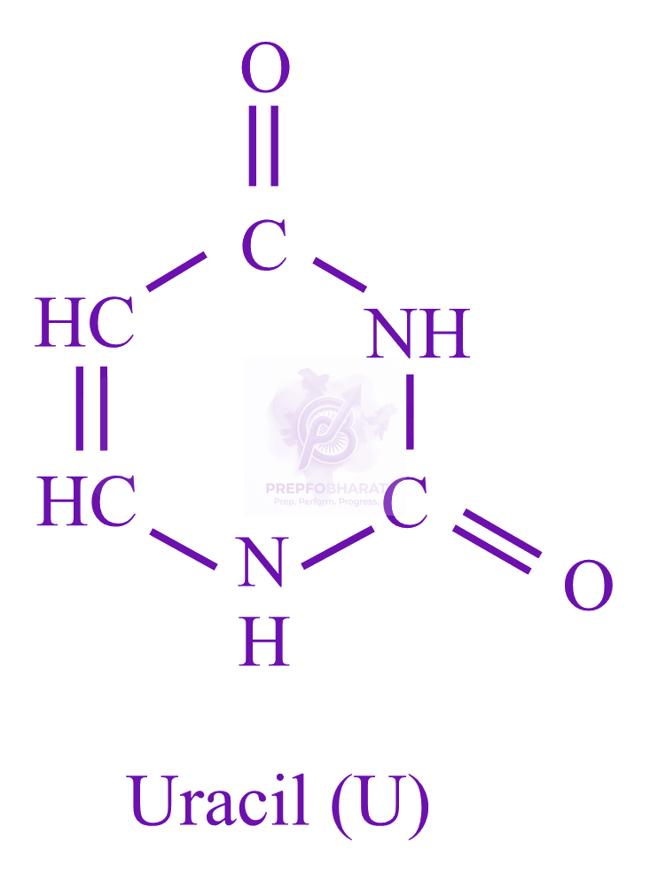 JEE Main 2023 Chemistry, General Organic Chemistry — solution figure