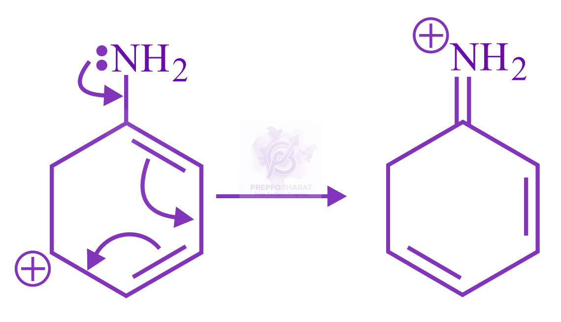 JEE Main 2023 Chemistry, General Organic Chemistry — solution figure