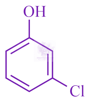 JEE Main 2023 Chemistry, General Organic Chemistry — option C figure