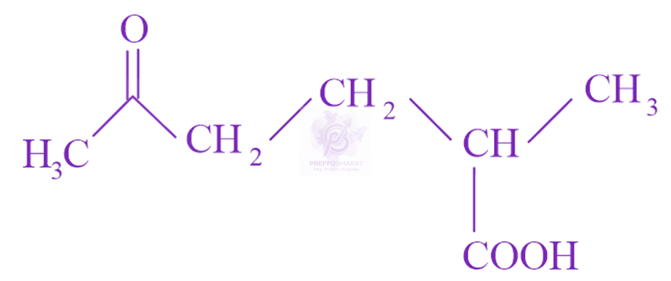 JEE Main 2023 Chemistry, General Organic Chemistry — solution figure