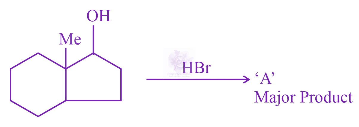 JEE Main 2023 Chemistry, General Organic Chemistry — question figure