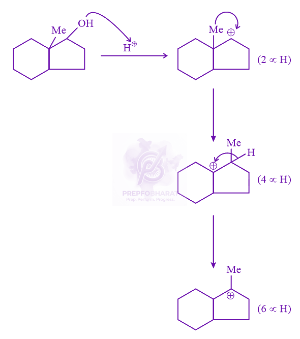 JEE Main 2023 Chemistry, General Organic Chemistry — solution figure