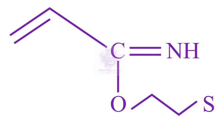 JEE Main 2023 Chemistry, General Organic Chemistry — option A figure