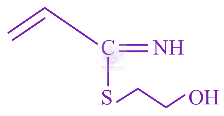 JEE Main 2023 Chemistry, General Organic Chemistry — option D figure