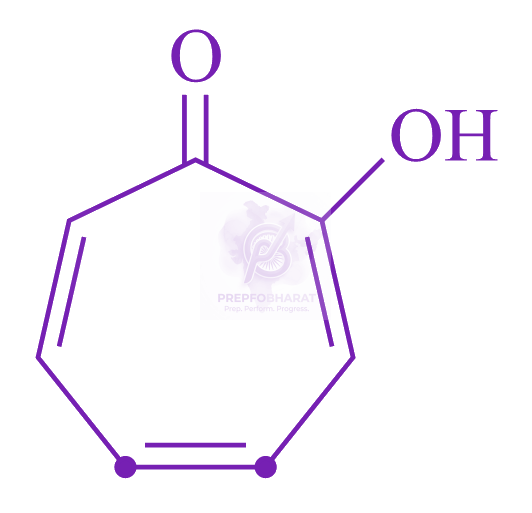 JEE Main 2023 Chemistry, General Organic Chemistry — solution figure 1