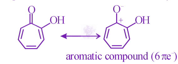 JEE Main 2023 Chemistry, General Organic Chemistry — solution figure 2