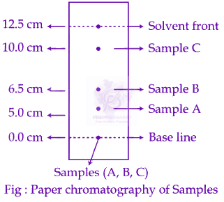JEE Main 2024 Chemistry, General Organic Chemistry — question figure