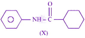 JEE Main 2024 Chemistry, General Organic Chemistry — question figure