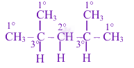 JEE Main 2024 Chemistry, General Organic Chemistry — solution figure