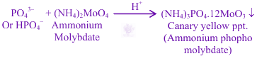JEE Main 2024 Chemistry, General Organic Chemistry — solution figure