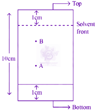 JEE Main 2024 Chemistry, General Organic Chemistry — question figure