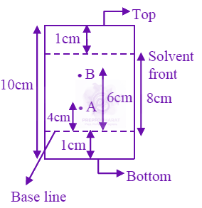 JEE Main 2024 Chemistry, General Organic Chemistry — solution figure