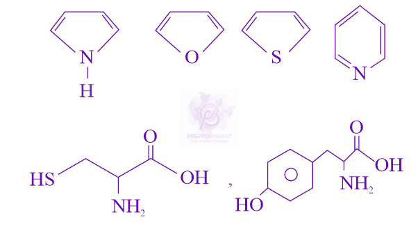 JEE Main 2024 Chemistry, General Organic Chemistry — solution figure
