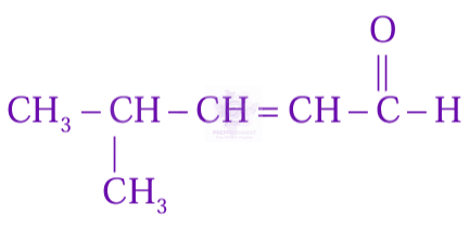JEE Main 2024 Chemistry, General Organic Chemistry — option D figure
