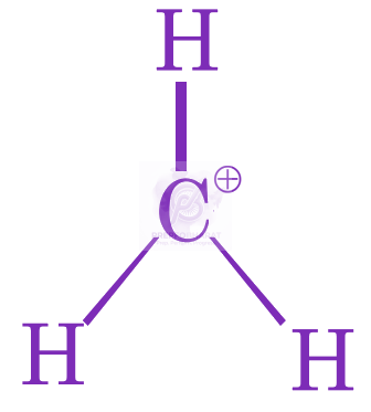 JEE Main 2024 Chemistry, General Organic Chemistry — solution figure