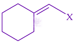JEE Main 2024 Chemistry, General Organic Chemistry — option A figure