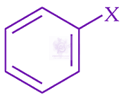 JEE Main 2024 Chemistry, General Organic Chemistry — option C figure