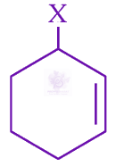 JEE Main 2024 Chemistry, General Organic Chemistry — option D figure