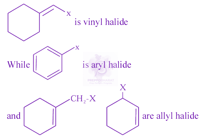 JEE Main 2024 Chemistry, General Organic Chemistry — solution figure