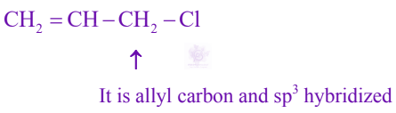 JEE Main 2024 Chemistry, General Organic Chemistry — solution figure