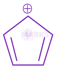 JEE Main 2024 Chemistry, General Organic Chemistry — option B figure