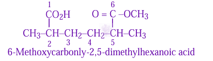 JEE Main 2025 Chemistry, General Organic Chemistry — solution figure