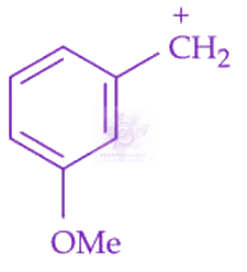 JEE Main 2025 Chemistry, General Organic Chemistry — option B figure