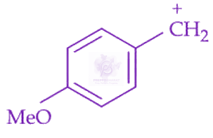 JEE Main 2025 Chemistry, General Organic Chemistry — option C figure