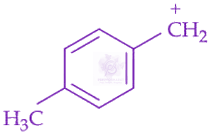 JEE Main 2025 Chemistry, General Organic Chemistry — option D figure