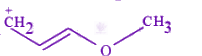 JEE Main 2025 Chemistry, General Organic Chemistry — option B figure