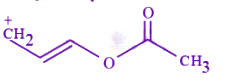 JEE Main 2025 Chemistry, General Organic Chemistry — option D figure