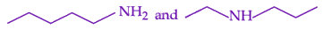 JEE Main 2025 Chemistry, General Organic Chemistry — question figure 2
