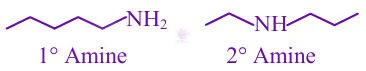 JEE Main 2025 Chemistry, General Organic Chemistry — solution figure 2