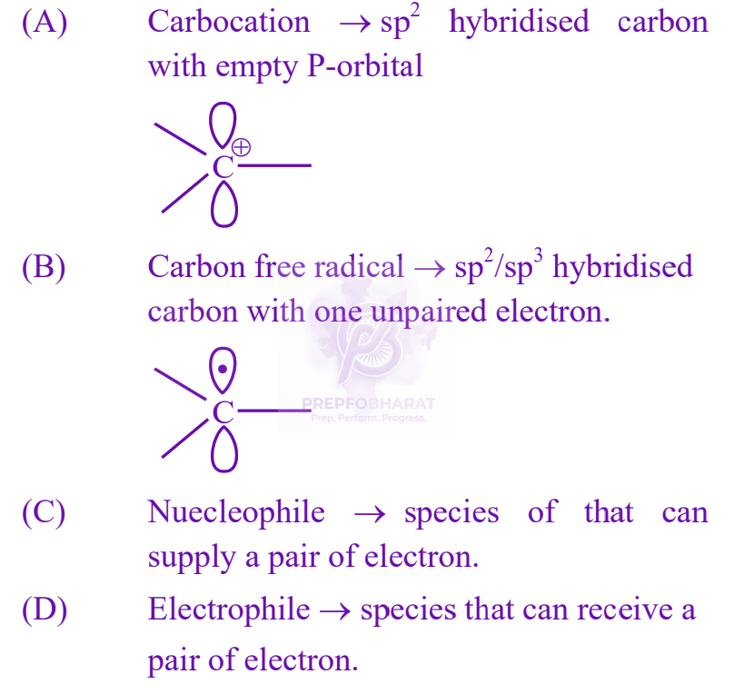 JEE Main 2025 Chemistry, General Organic Chemistry — solution figure