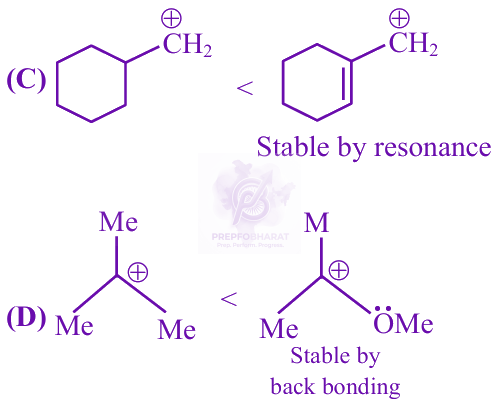 JEE Main 2025 Chemistry, General Organic Chemistry — solution figure 2