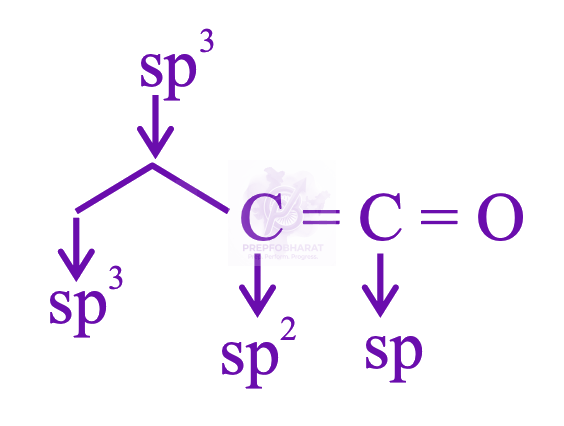 JEE Main 2026 Chemistry, General Organic Chemistry — solution figure 2