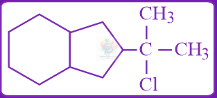 JEE Main 2019 Chemistry, Haloalkanes and Haloarenes — option D figure